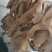 水煮牛大肚，纯水煮，无碱发，无泡水，精修去油里子干净