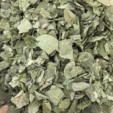 淫羊藿纯叶中药材淫羊藿叶仙灵脾泡***正宗新