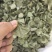 淫羊藿纯叶中药材淫羊藿叶仙灵脾泡***正宗新