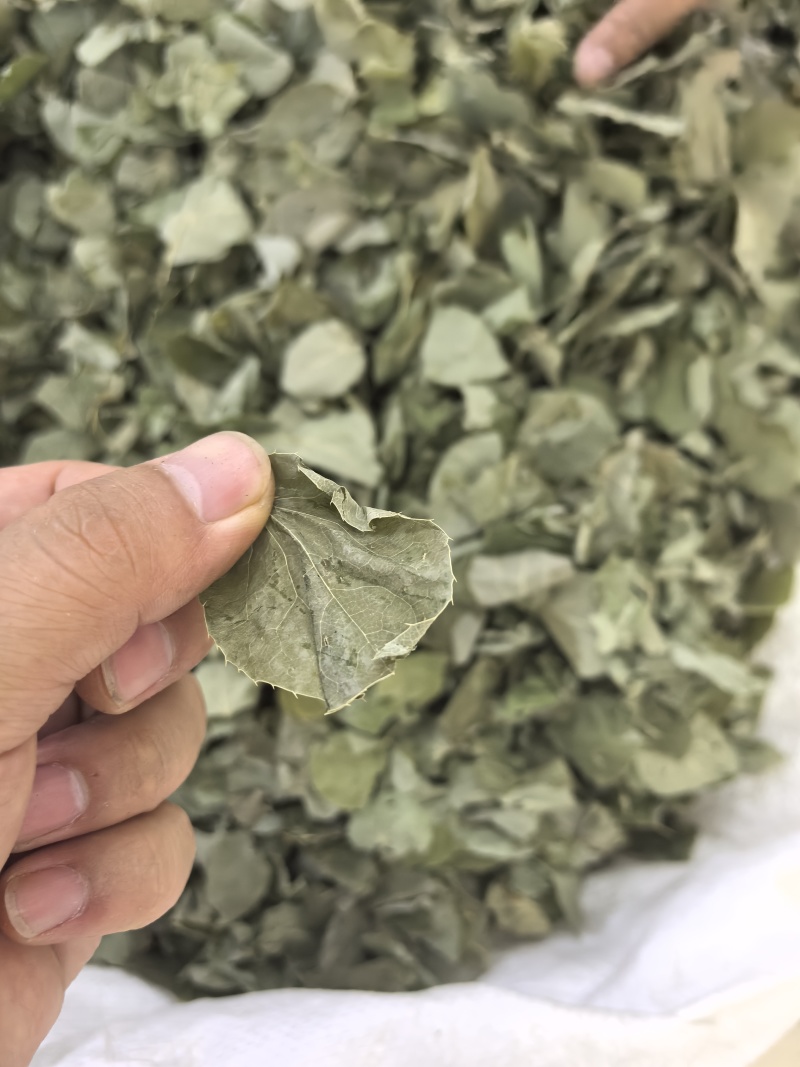 淫羊藿纯叶中药材淫羊藿叶仙灵脾泡***正宗新