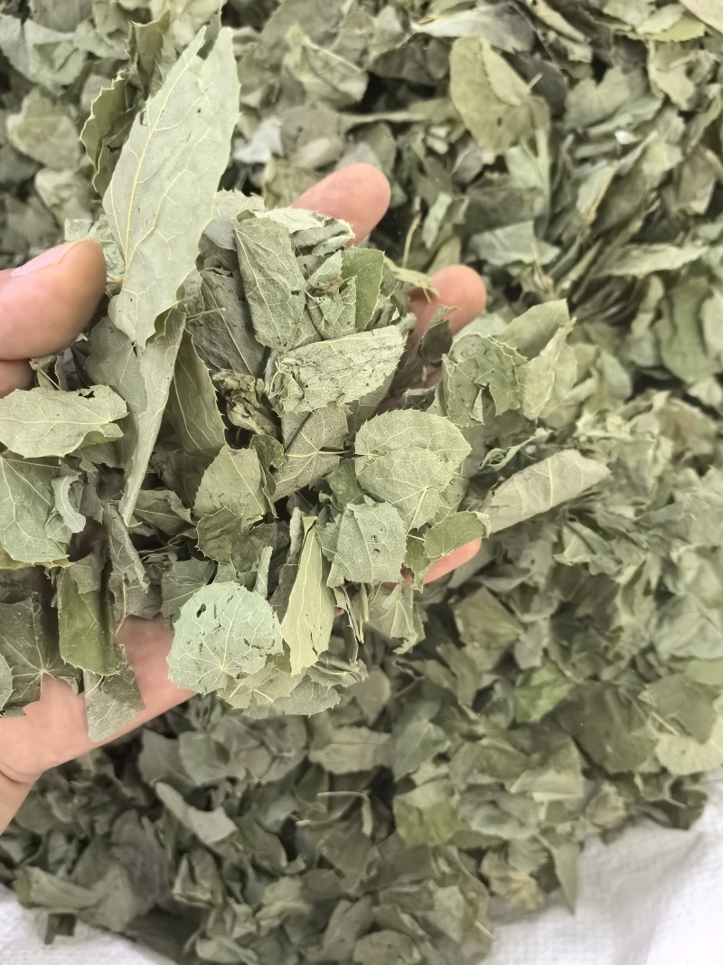 淫羊藿纯叶中药材淫羊藿叶仙灵脾泡***正宗新
