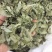 淫羊藿纯叶中药材淫羊藿叶仙灵脾泡***正宗新
