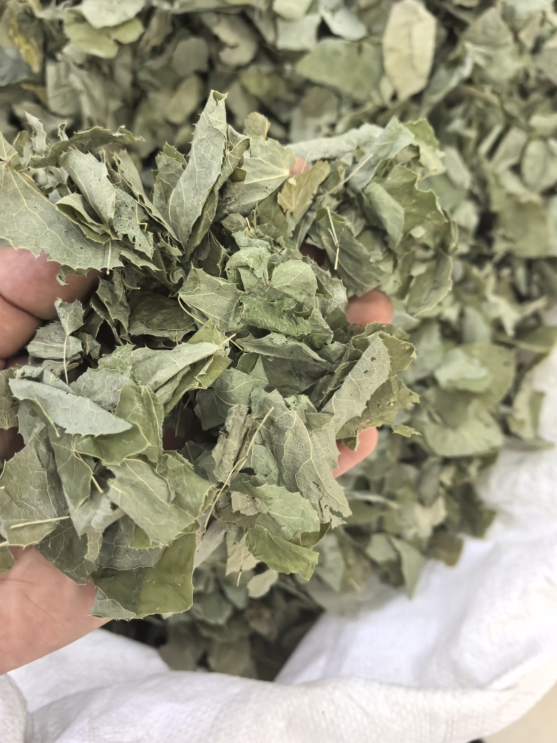 淫羊藿纯叶中药材淫羊藿叶仙灵脾泡***正宗新