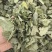 淫羊藿纯叶中药材淫羊藿叶仙灵脾泡***正宗新