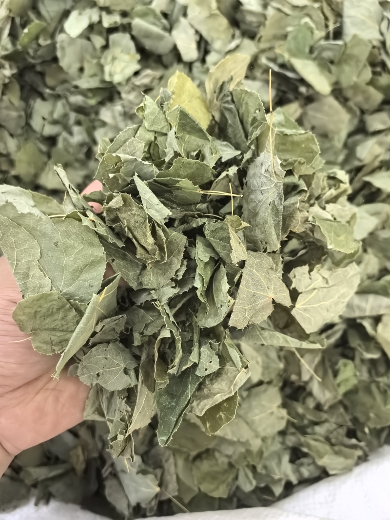 淫羊藿纯叶中药材淫羊藿叶仙灵脾泡***正宗新