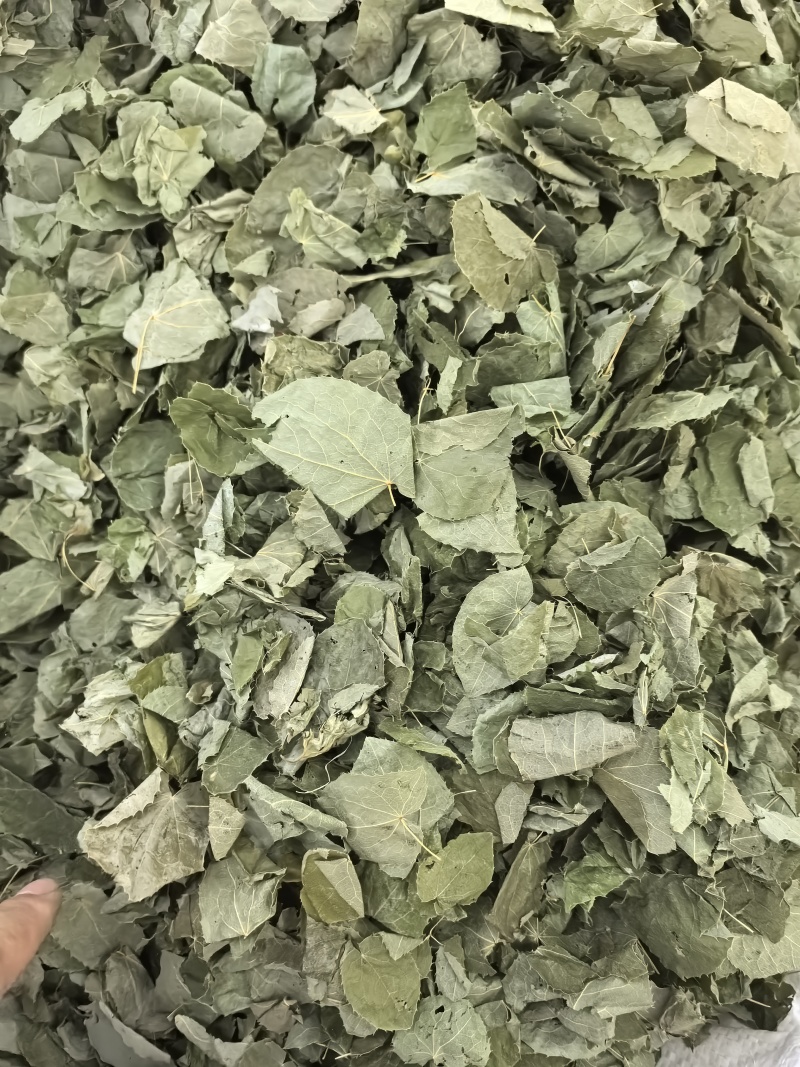 淫羊藿纯叶中药材淫羊藿叶仙灵脾泡***正宗新