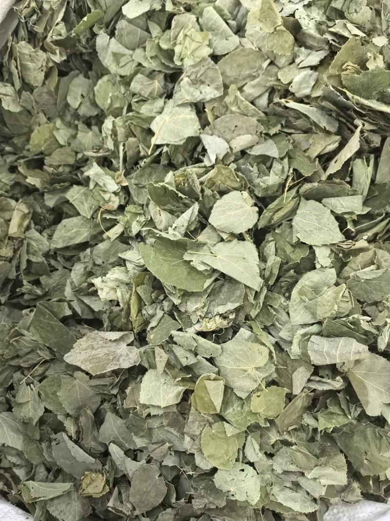淫羊藿纯叶中药材淫羊藿叶仙灵脾泡***正宗新