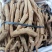 小叶牛小叶中统牛大力价格实惠，欢迎选购