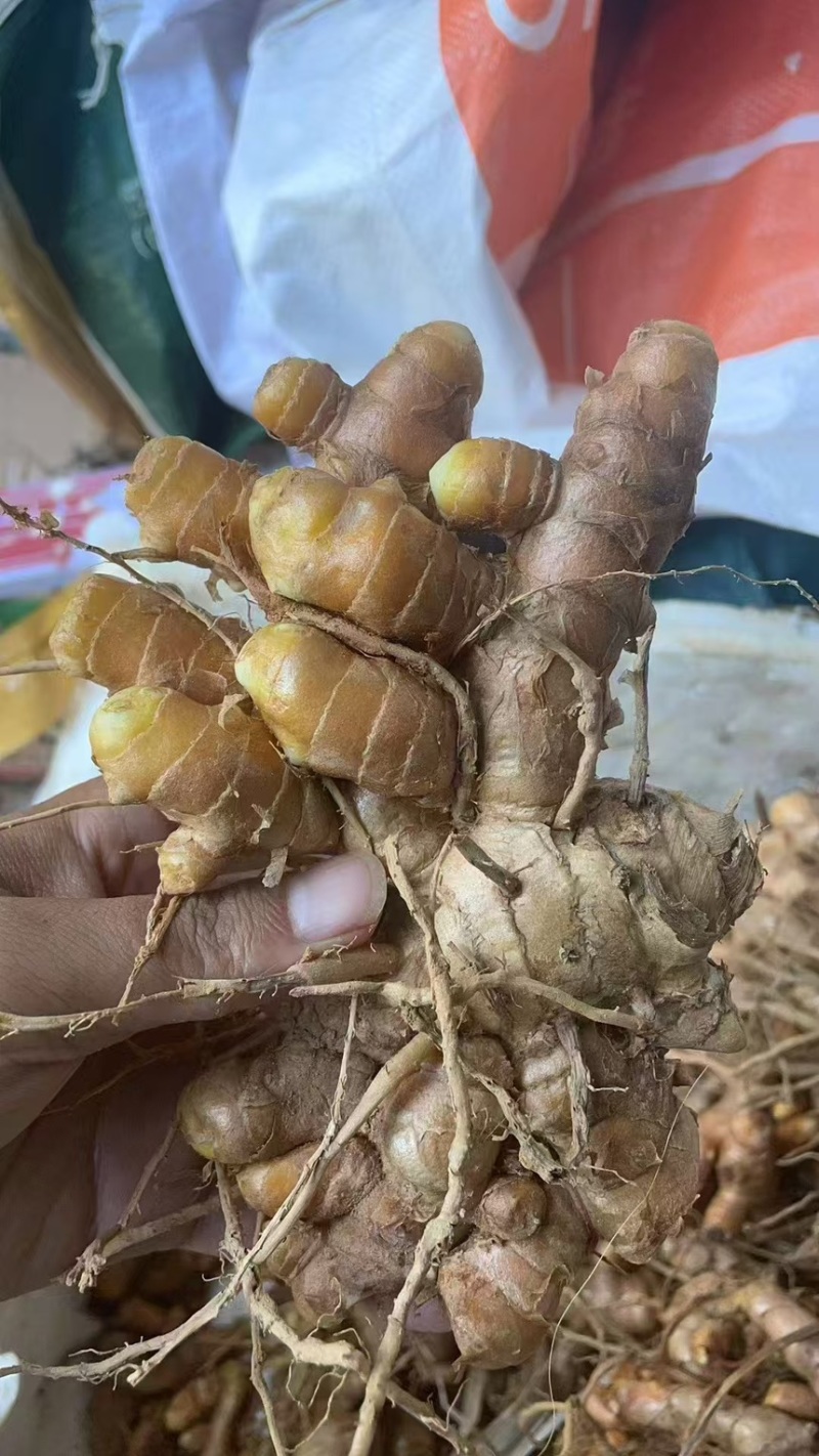 姜黄