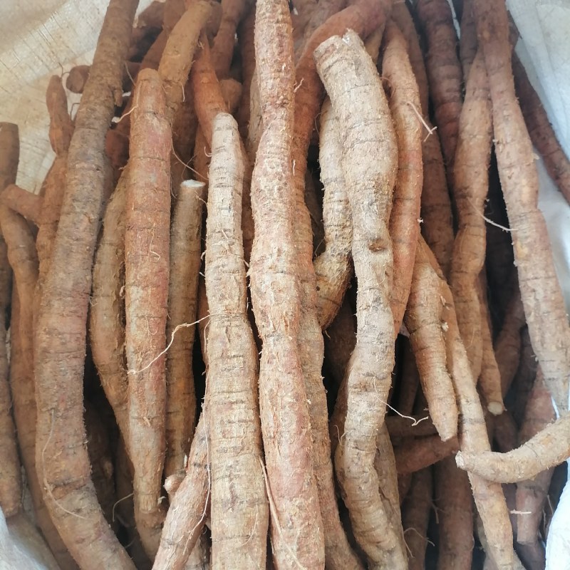 牛大力大叶黄皮新鲜牛大力手货源现货批发欢迎来电咨询
