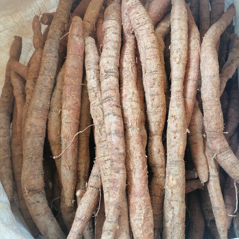 牛大力大叶黄皮新鲜牛大力手货源现货批发欢迎来电咨询