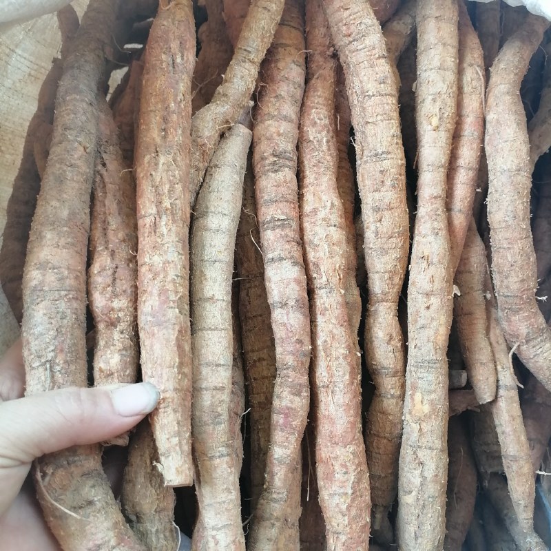 牛大力大叶黄皮新鲜牛大力手货源现货批发欢迎来电咨询