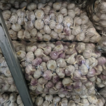 新鲜大蒜直供，品质保证，邳州精品大蒜，诚信第一。
