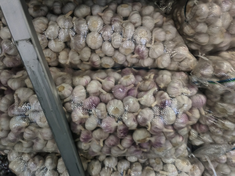 新鲜大蒜直供，品质保证，邳州精品大蒜，诚信第一。