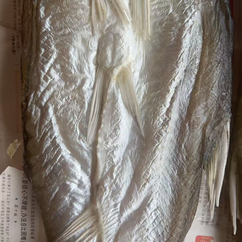 开边刁子鱼干地摊电商批发餐条鱼干风干鱼白条翘嘴鱼干干鱼