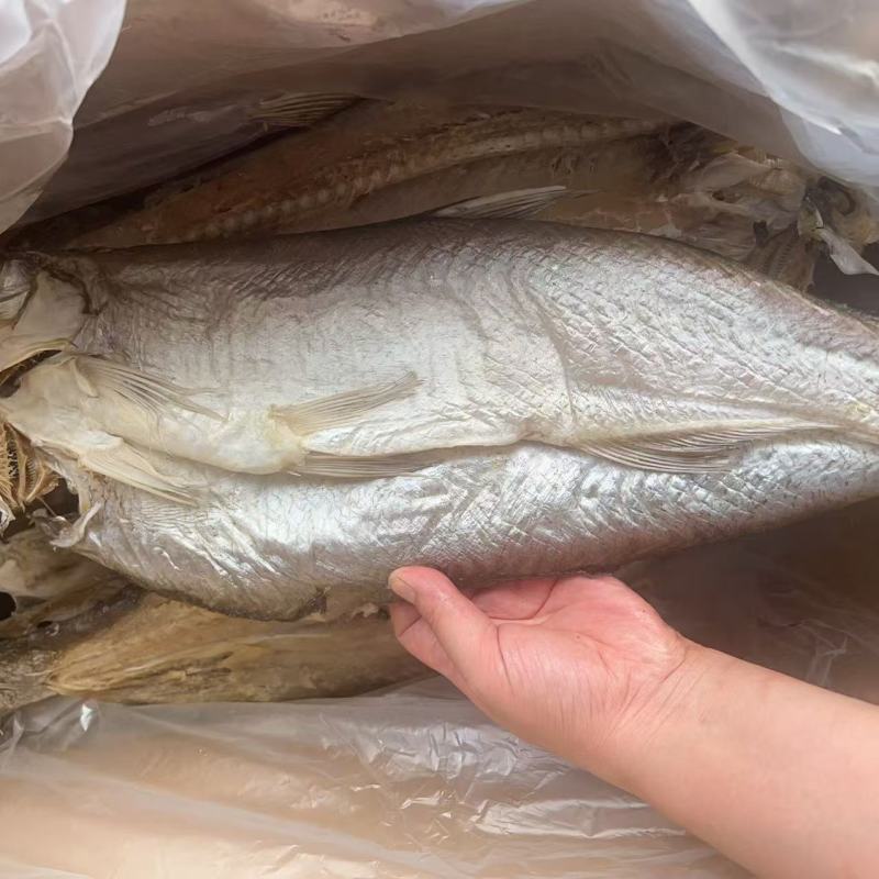 开边刁子鱼干地摊电商批发餐条鱼干风干鱼白条翘嘴鱼干干鱼