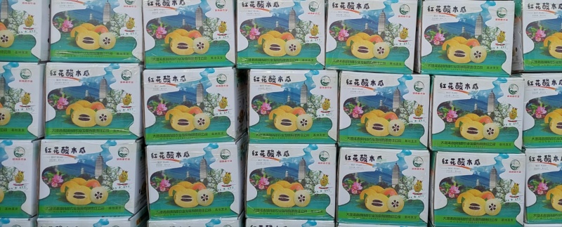 （云南红花酸木瓜）大理红花酸木，生态酸木瓜，基地直发。