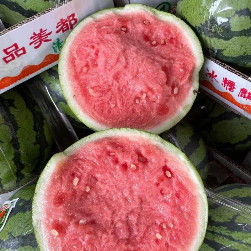 麒麟西瓜/雷州西瓜/麒麟无籽大吨位供货，甜度高耐运输
