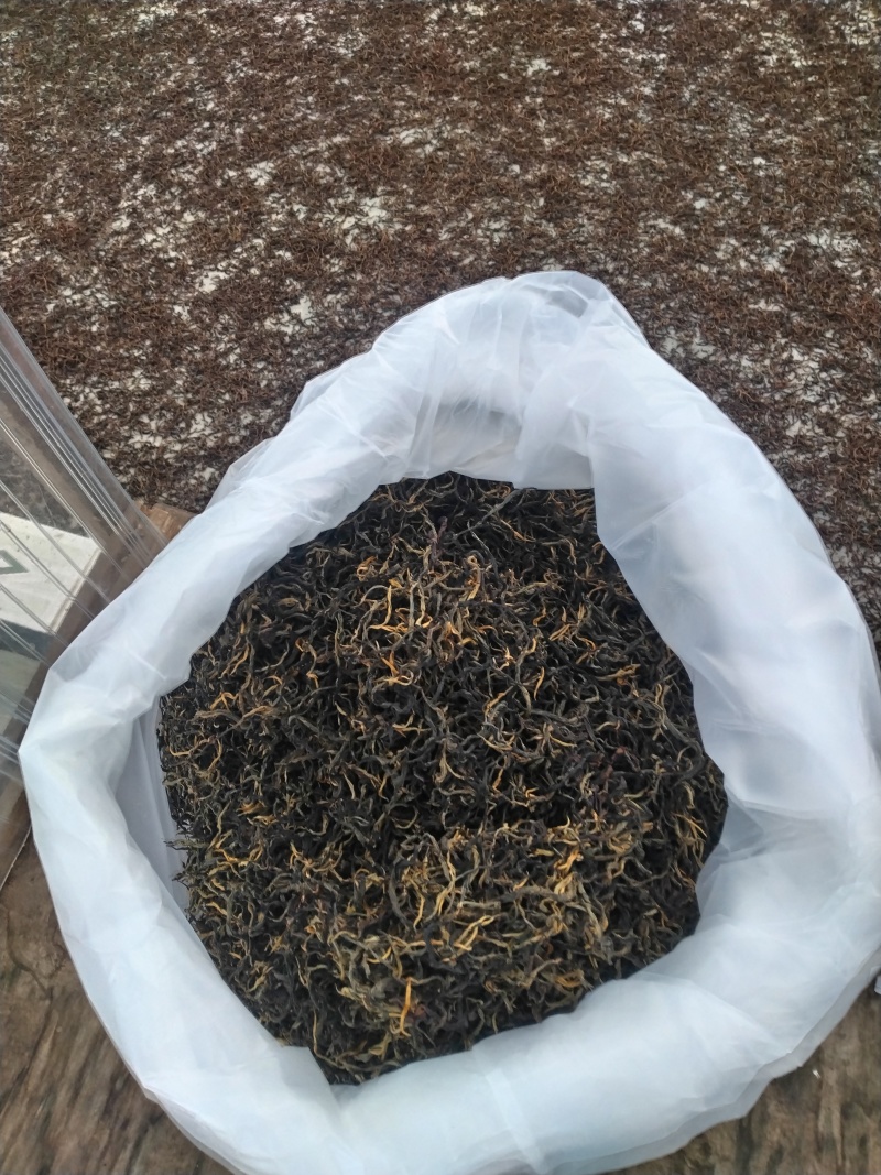 云南勐库大雪山古树红茶自然晾晒颜色正宗口感好