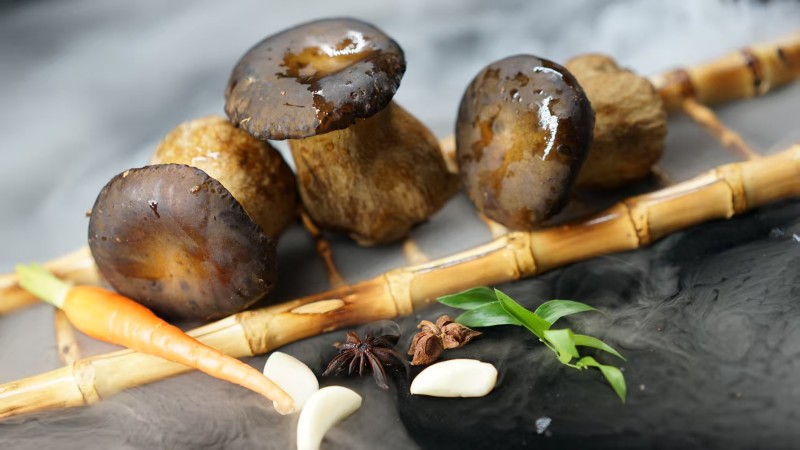 黑牛肝菌