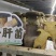 黑牛肝菌