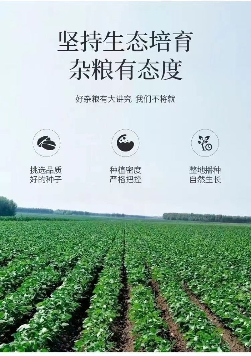 盐焗酥脆黑豆