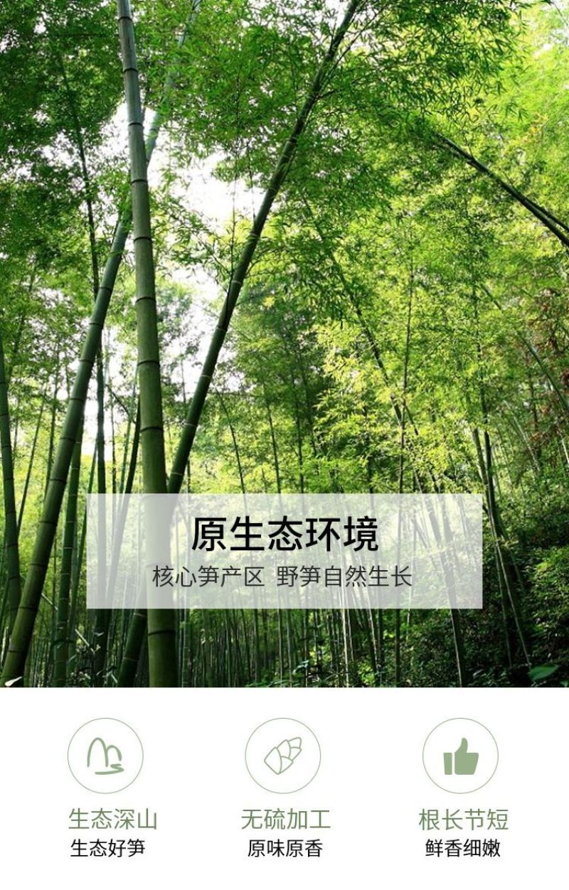 山椒味笋尖500g包邮
