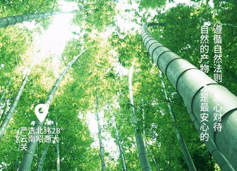 山椒味笋尖500g包邮