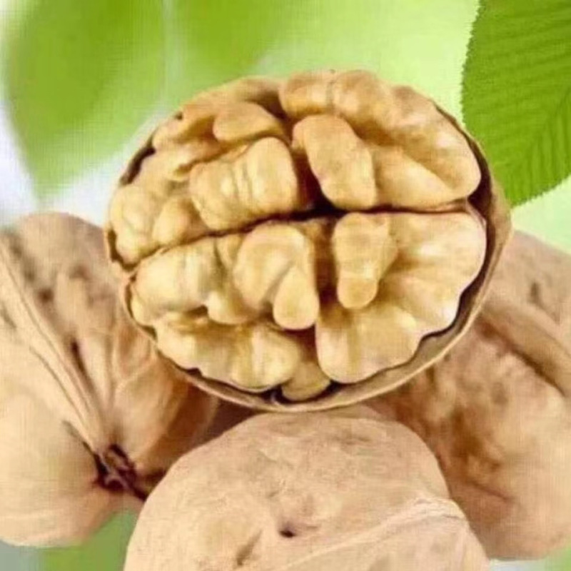 精选原生态核桃仁，新鲜饱满，营养丰富，健康之选！