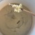 土蜂蜜
