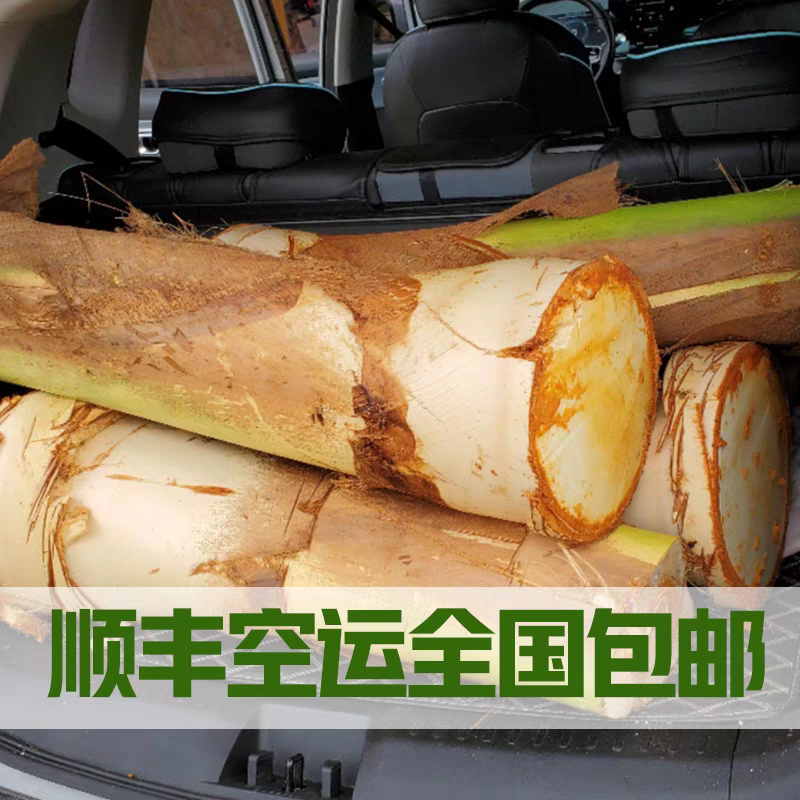 蜂蜜牛奶椰子芯