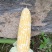 黄甜玉米，水果玉米，太阳花，597基地直供