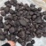 新鲜乌灵参