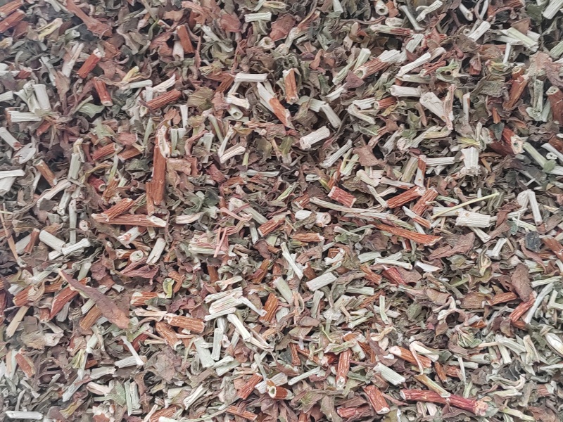 景天三七