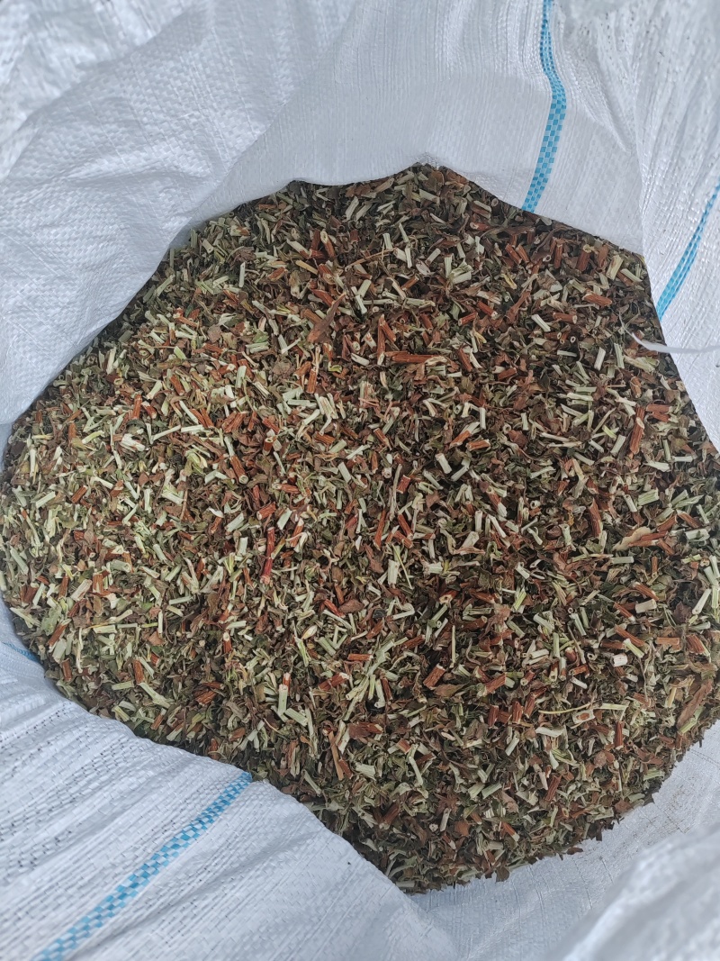 景天三七