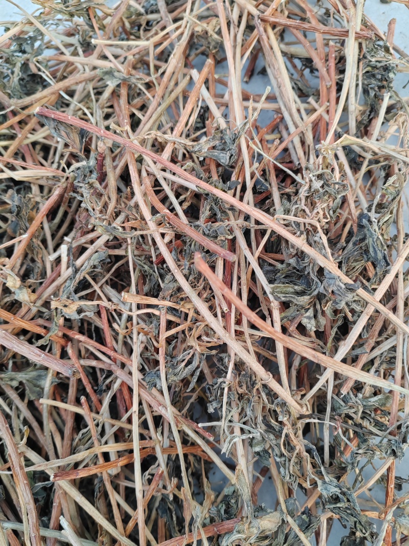 景天三七水煮个子干货