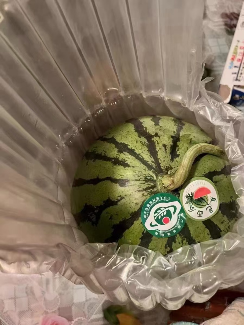 西瓜气柱缓冲包装充气柱气泡柱