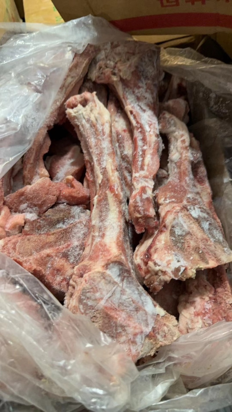 东北精品母猪尾骨，仓储40吨直发，保质保量，欢迎选购