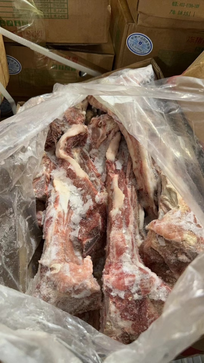 东北精品母猪尾骨，仓储40吨直发，保质保量，欢迎选购