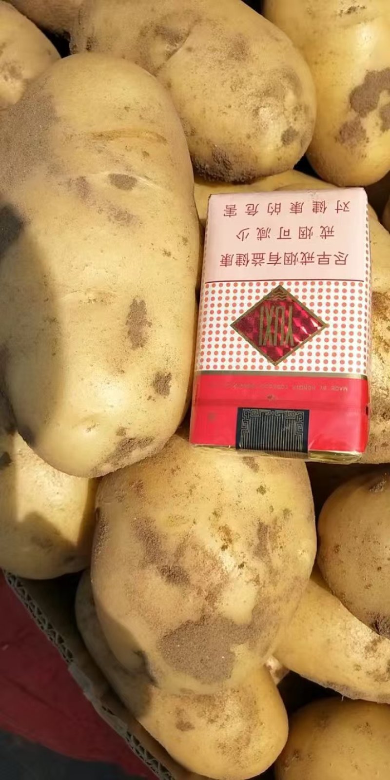 内黄黄心土豆已大量上市，箱装，袋装，