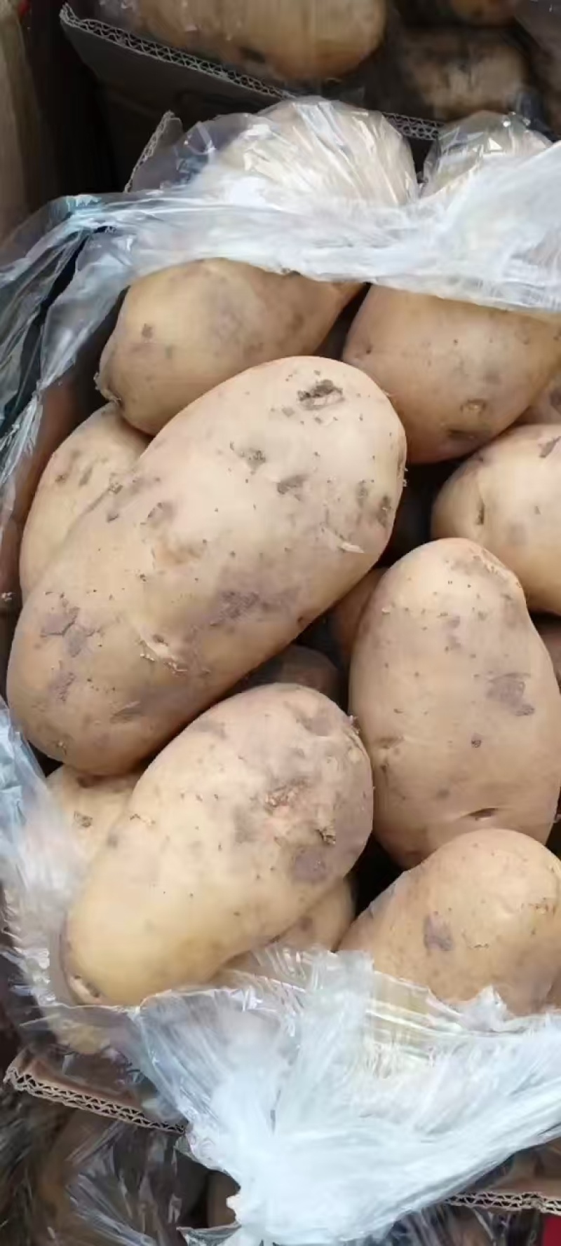 内黄黄心土豆已大量上市，箱装，袋装，