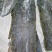 精品板带，去头，去尾，去边