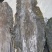 精品板带，去头，去尾，去边