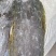 精品板带，去头，去尾，去边
