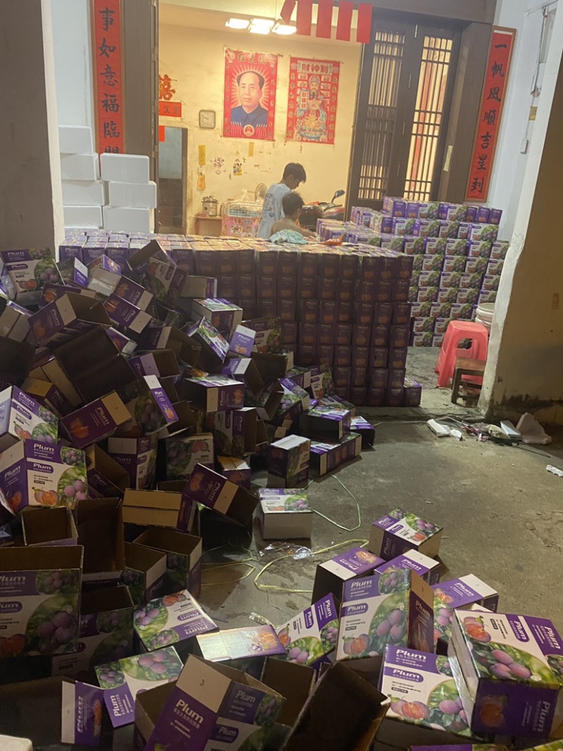 钱排三华李！市场果电商果！大量上市！