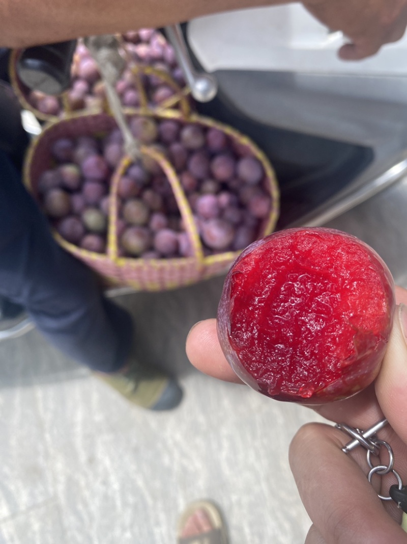 钱排三华李！市场果电商果！大量上市！