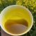 农家自榨取菜籽油，油坊直供，假一赔十