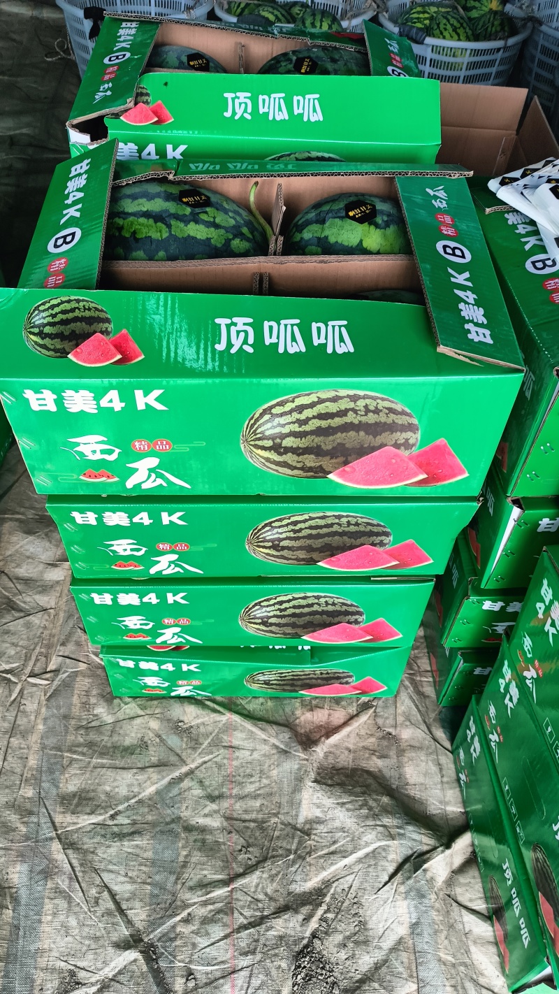 甘美4K西瓜