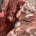 满肉猪颈骨