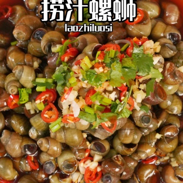精品淡水螺蛳